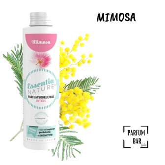 Essentia Mimosa Intens 250ml